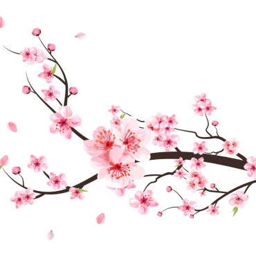 Almond Blossom Illustrations Templates 293252