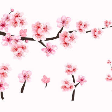 Almond Blossom Illustrations Templates 293271