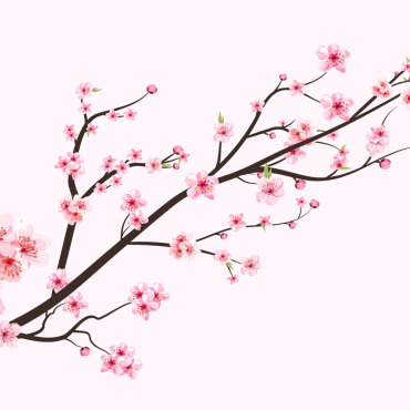 Almond Blossom Illustrations Templates 293272