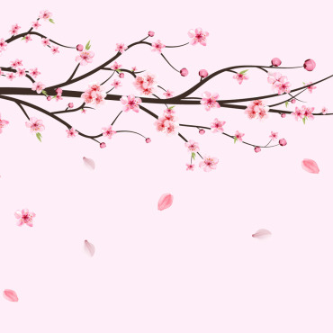 Almond Blossom Illustrations Templates 293273