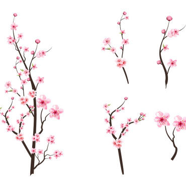 Almond Blossom Illustrations Templates 293277