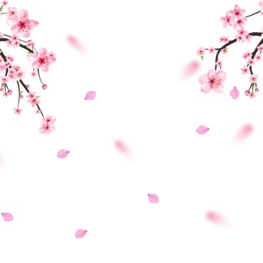 Almond Blossom Illustrations Templates 293289