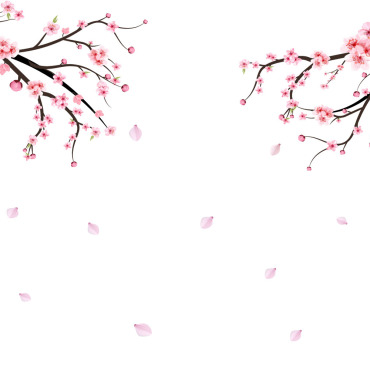 Almond Blossom Illustrations Templates 293290