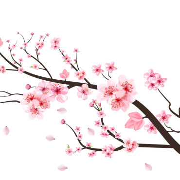 Almond Blossom Illustrations Templates 293560