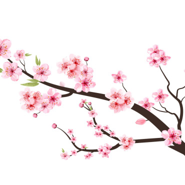 Almond Blossom Illustrations Templates 293561