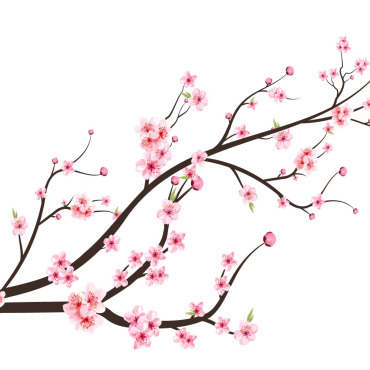 Almond Blossom Illustrations Templates 293564