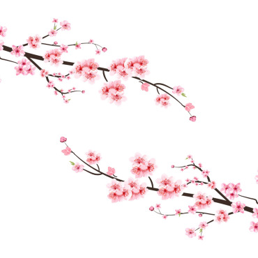 Almond Blossom Illustrations Templates 293565