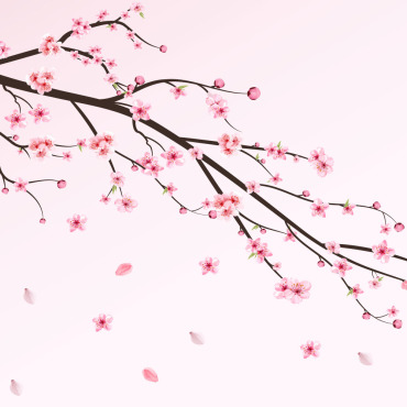 Almond Blossom Illustrations Templates 293572