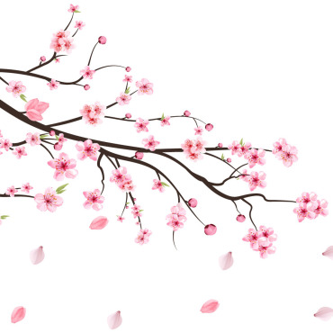 Almond Blossom Illustrations Templates 293574