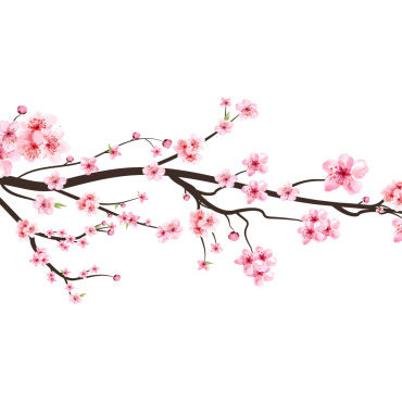 Almond Blossom Illustrations Templates 293575