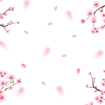 Almond Blossom Illustrations Templates 293576