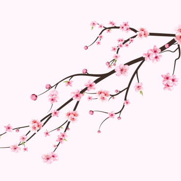 Almond Blossom Illustrations Templates 293578