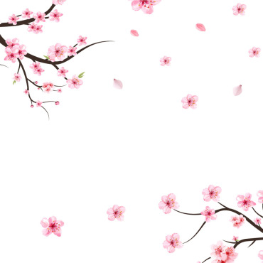 Almond Blossom Illustrations Templates 293581