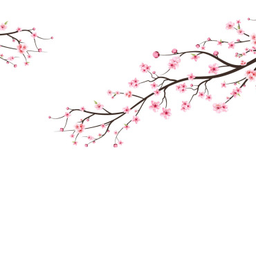 Almond Blossom Illustrations Templates 293583