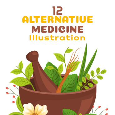 Medicine Herbal Illustrations Templates 293901