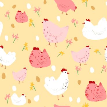 Background Chicken  294036