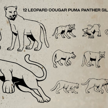 Cougar Puma Illustrations Templates 295593