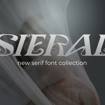 Fonts Serif  296162