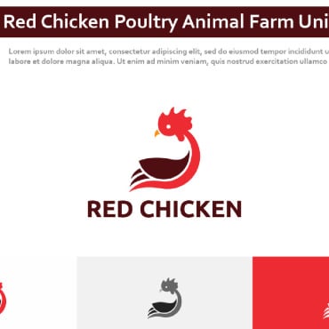 Chicken Poultry Logo Templates 296339