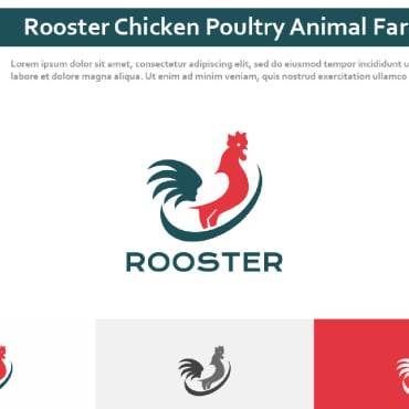 Chicken Poultry Logo Templates 296341