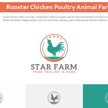 Chicken Rooster Logo Templates 296342