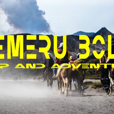 Fonts Display  296477