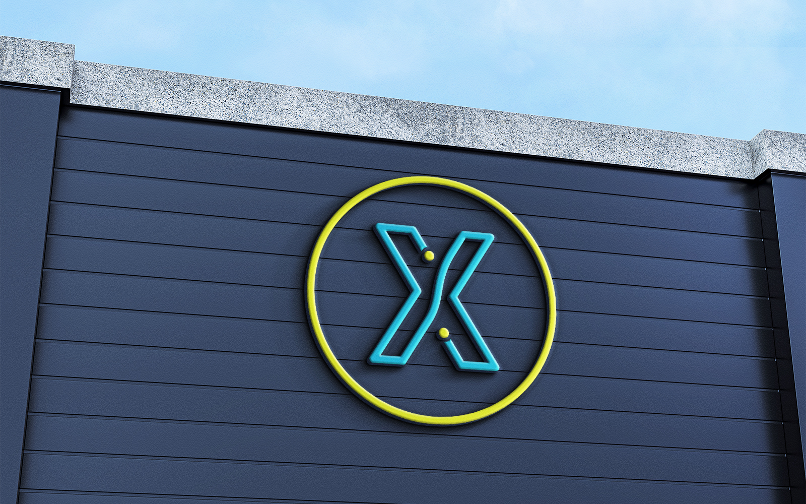 Letter X Logo Design IT Company Logo