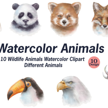 Collection Watercolor Illustrations Templates 297070