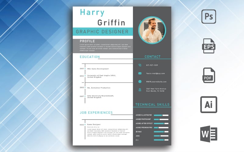 Professional Resume Template - Resume Template