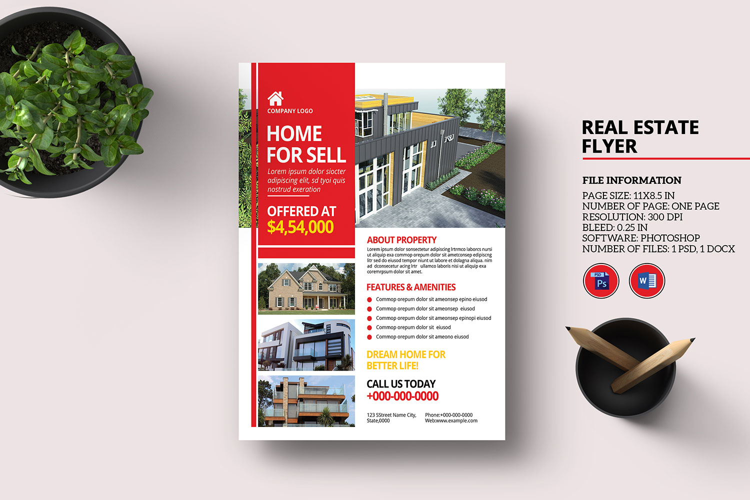 Printable Real Estate Company Flyer Template
