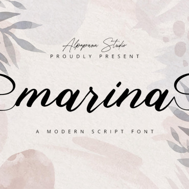 Modern Typography Fonts 298191
