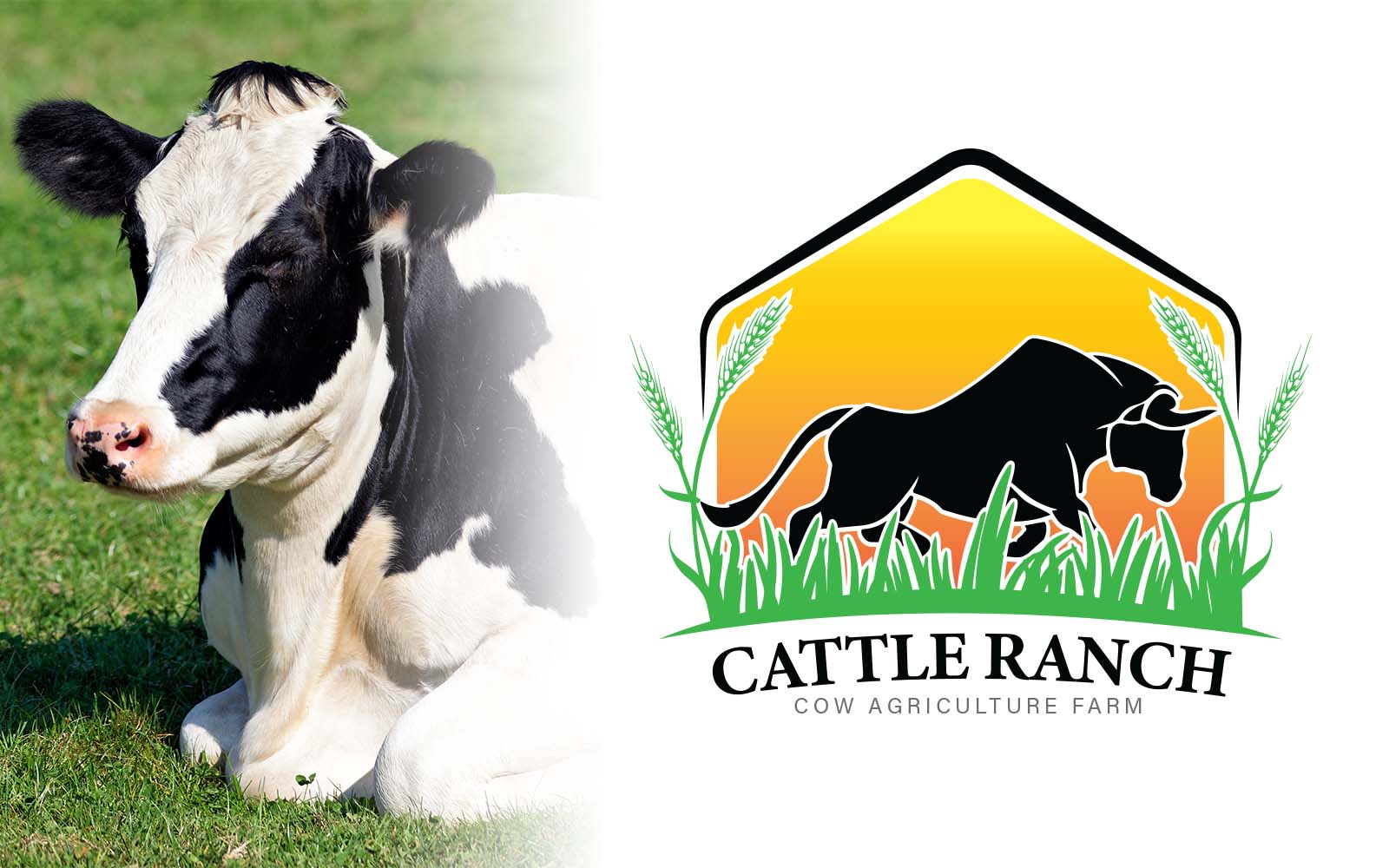 Cattle Farm Logo Design