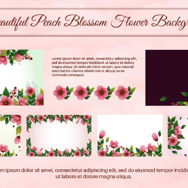 Peach Blossom Backgrounds 298835