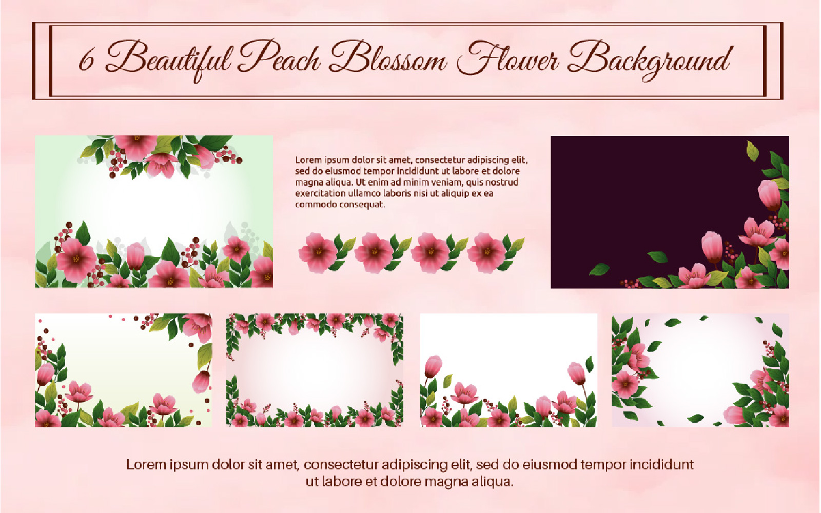 6 Beautiful Peach Blossom Flower Background