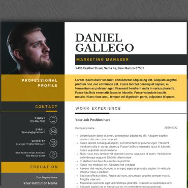 Clean Color Resume Templates 298903