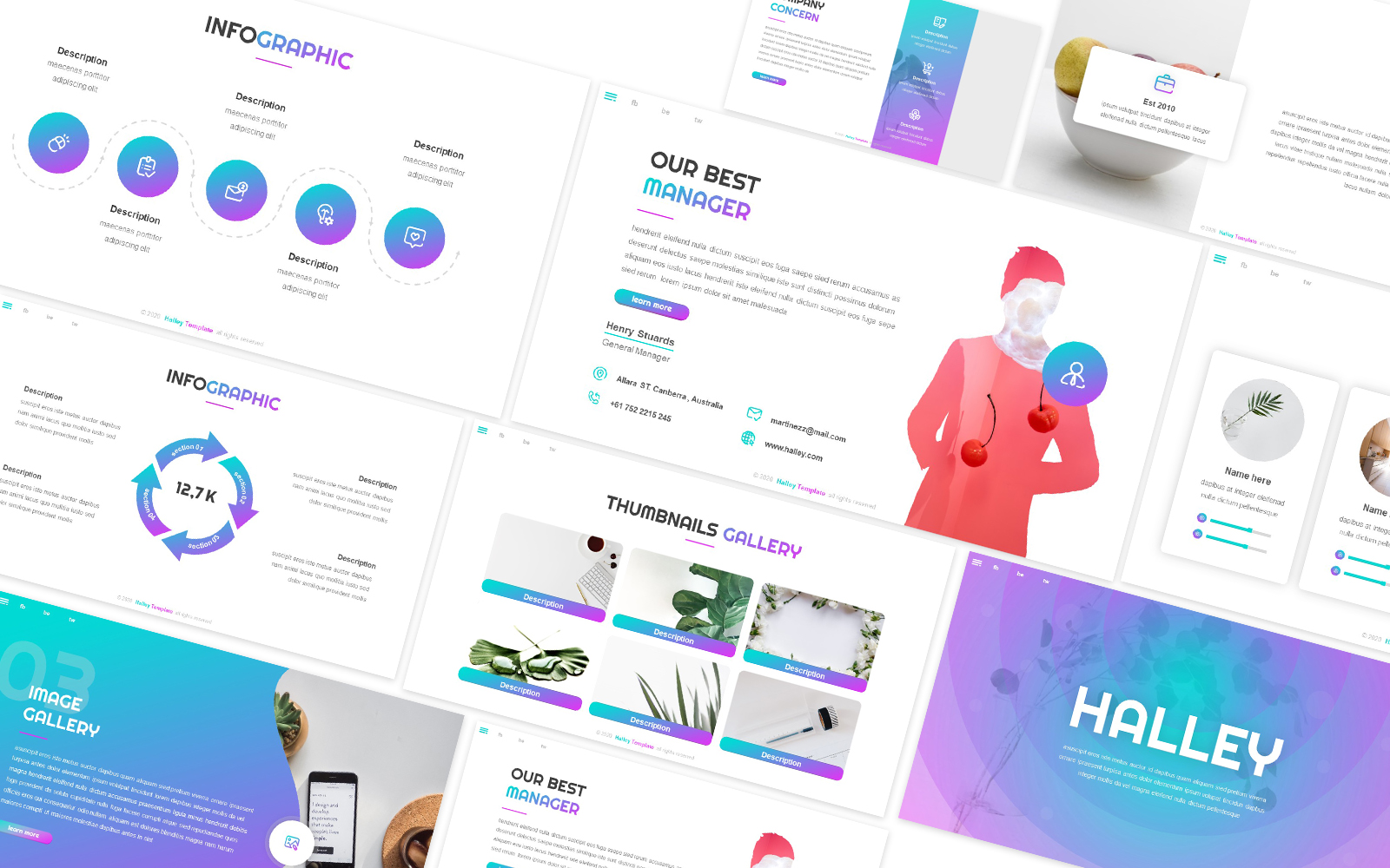 Halley Company Powerpoint Template