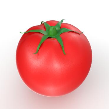 Food Art 3D Models 300563