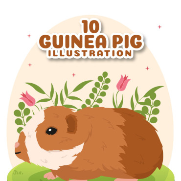 Pig Pets Illustrations Templates 300855