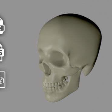 3d Lowpoly 3D Models 301590