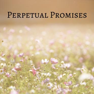 Beautiful Cinematic Stock Music 302174