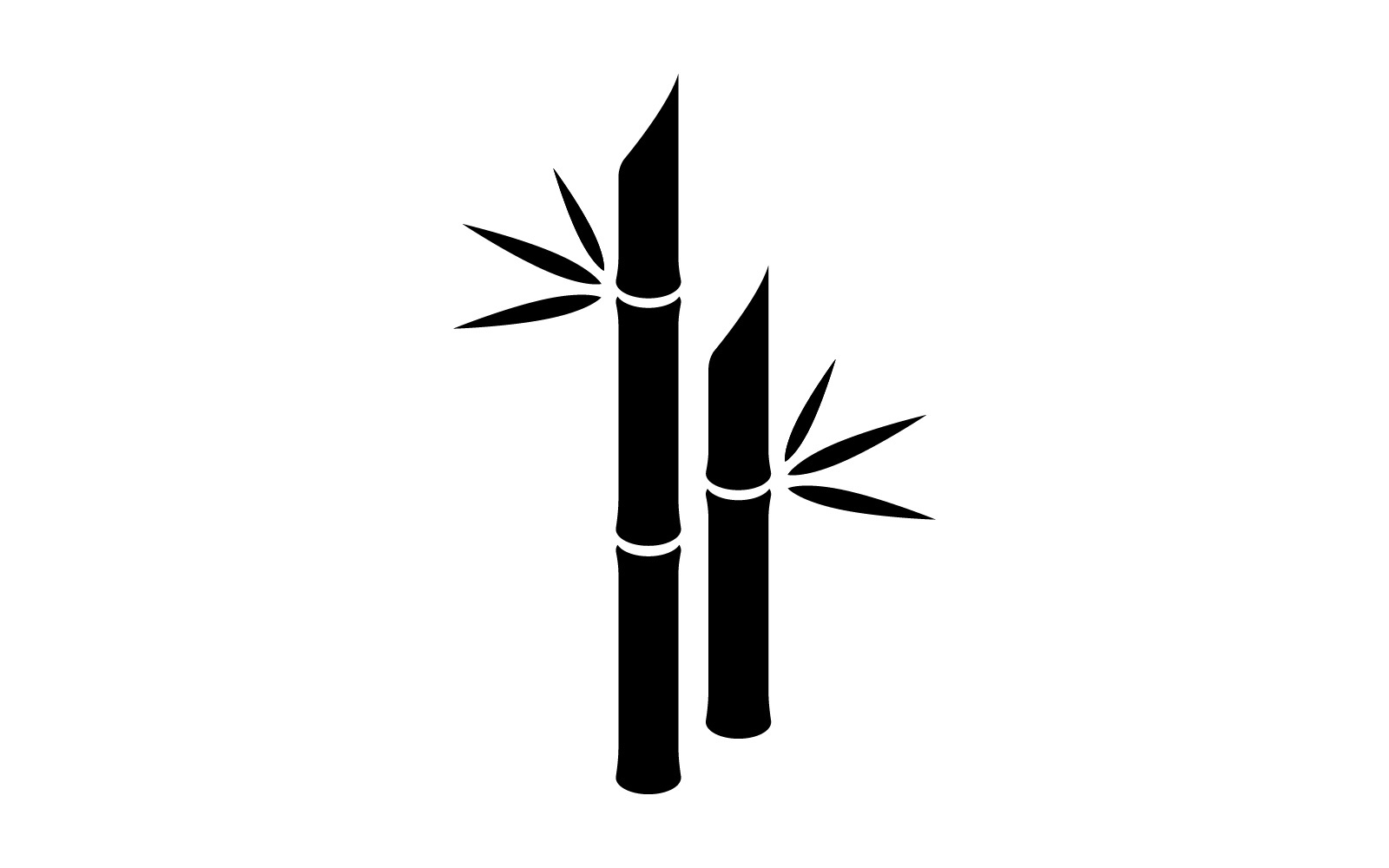 Green Bamboo Logo  vector illustration Design V2