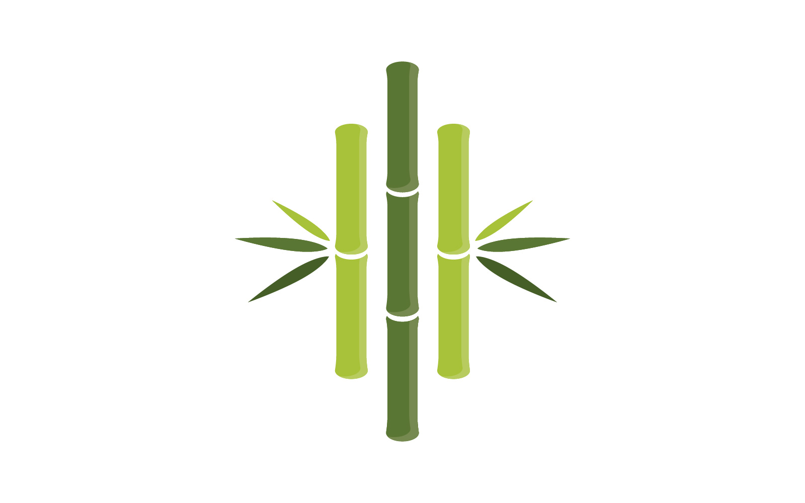 Green Bamboo Logo  vector illustration Design V3