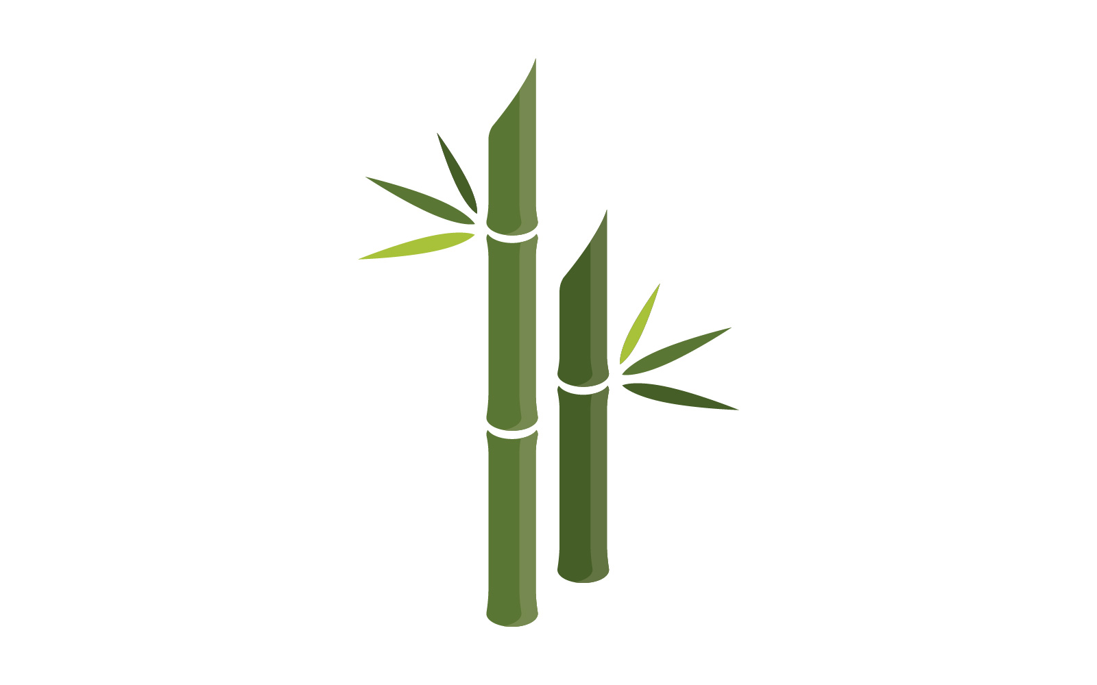 Green Bamboo Logo  vector illustration Design V5