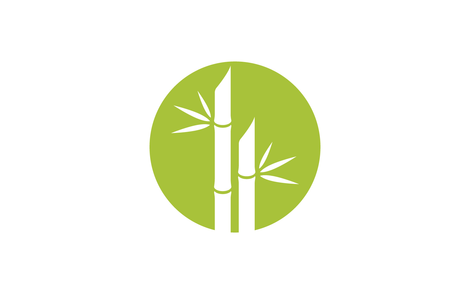 Green Bamboo Logo  vector illustration Design V6