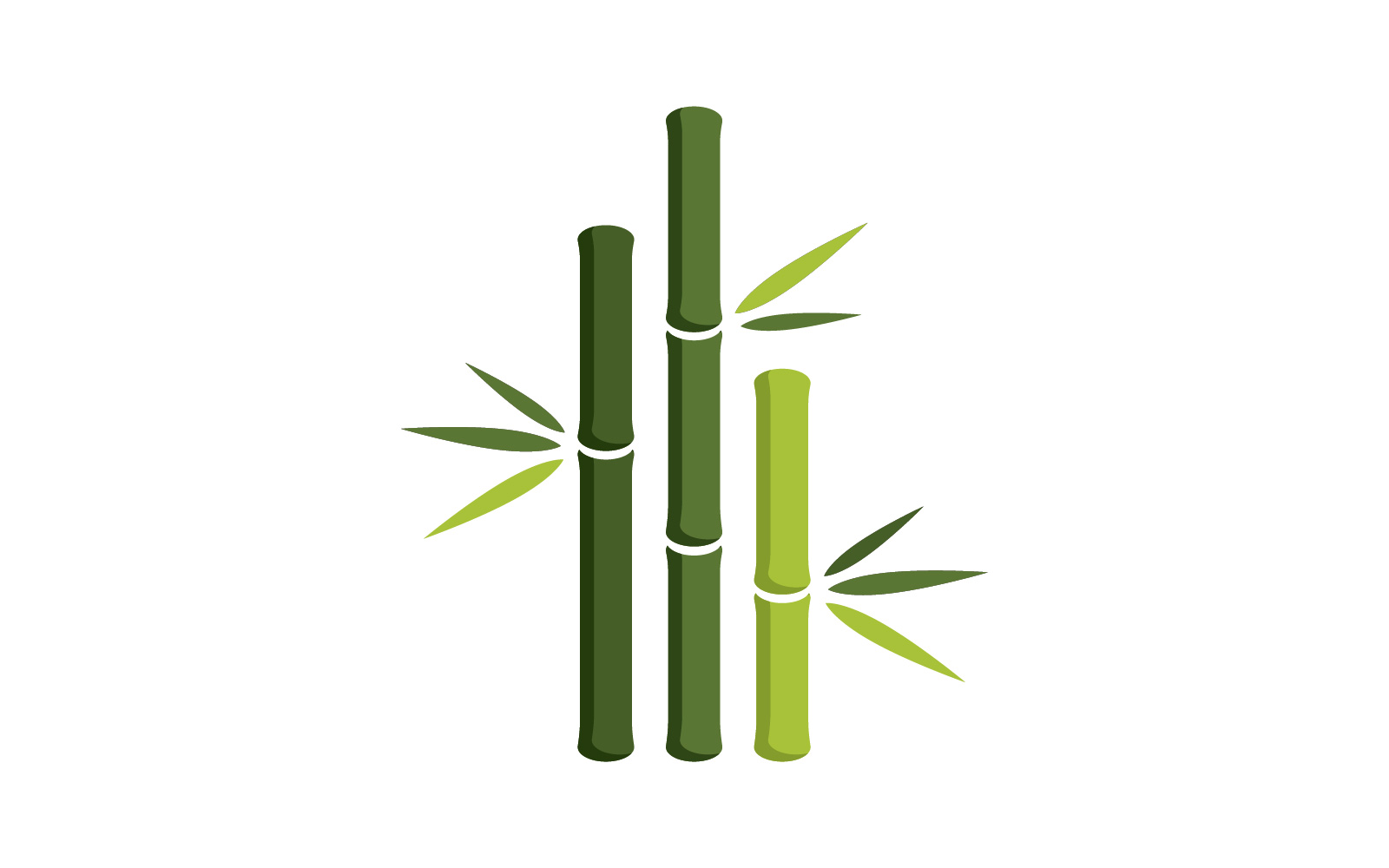 Green Bamboo Logo  vector illustration Design V8