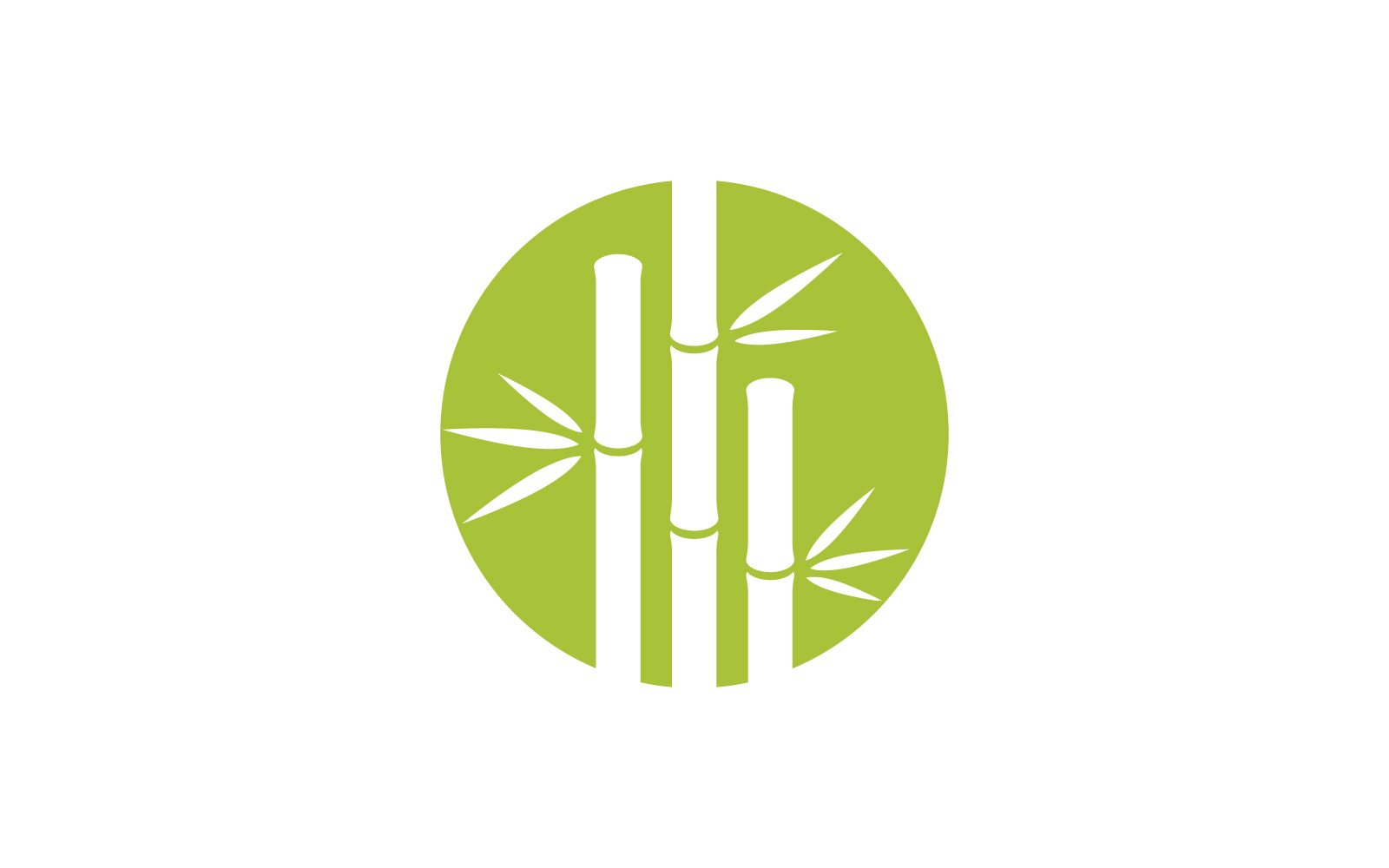 Green Bamboo Logo  vector illustration Design V9