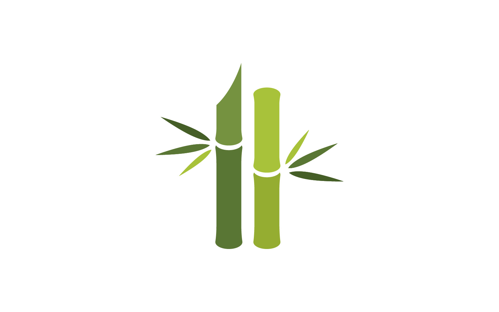 Green Bamboo Logo  vector illustration Design V10