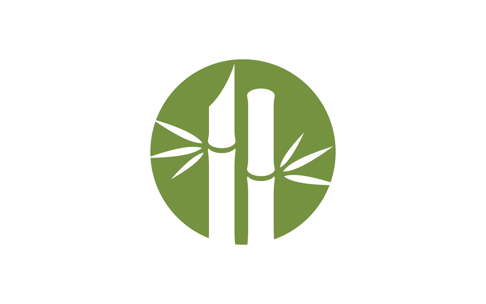 Green Bamboo Logo  vector illustration Design V11