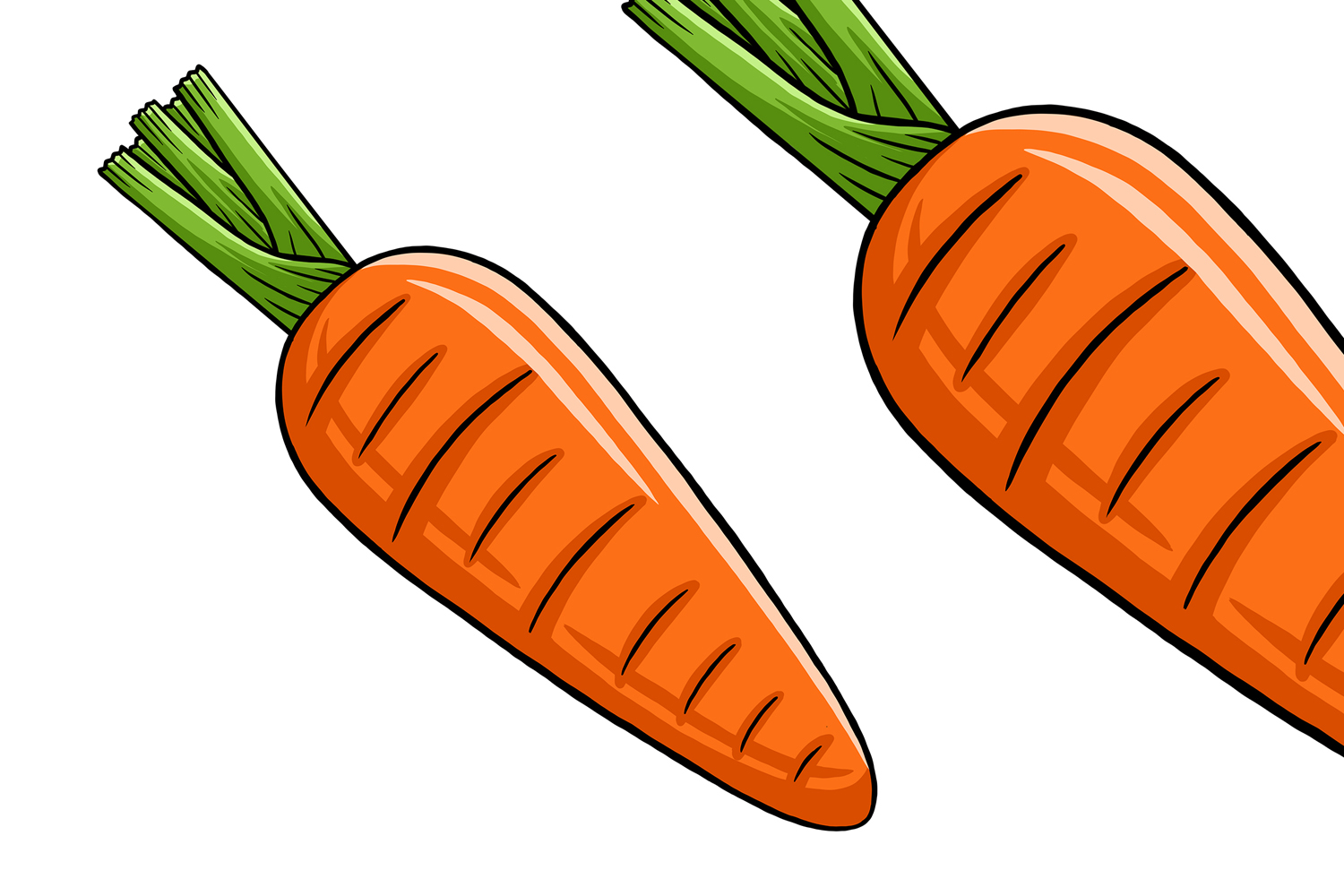 Carrot Vector Illustration