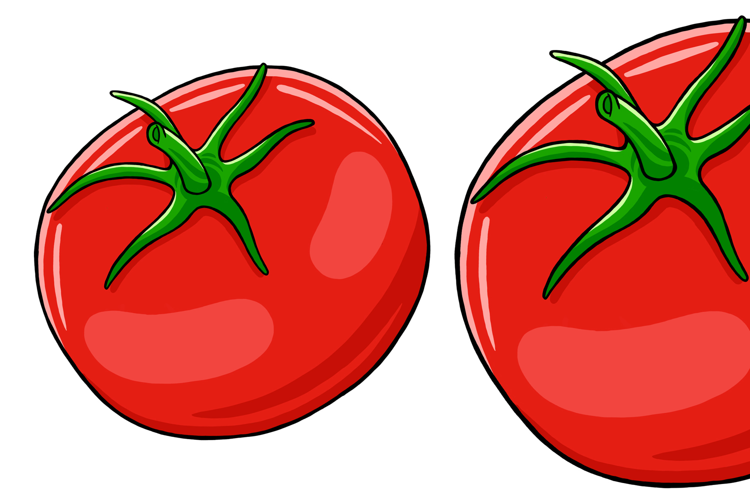 Tomato Vector Illustration